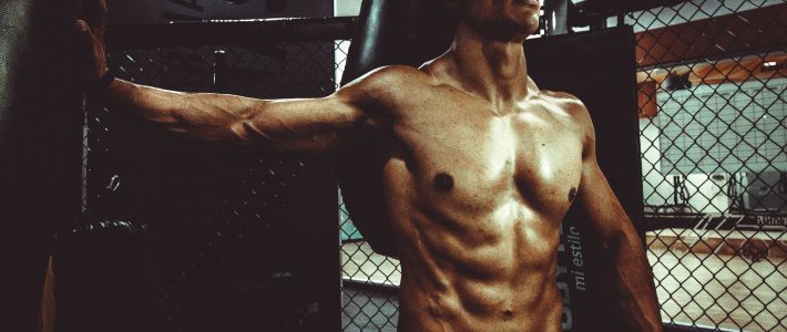 lean muscles