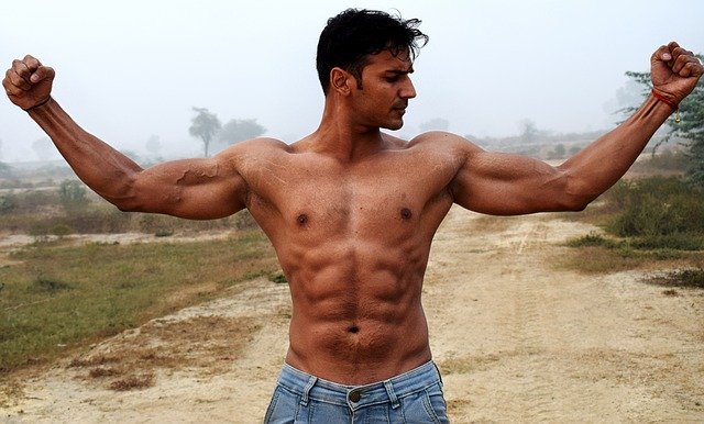 muscles