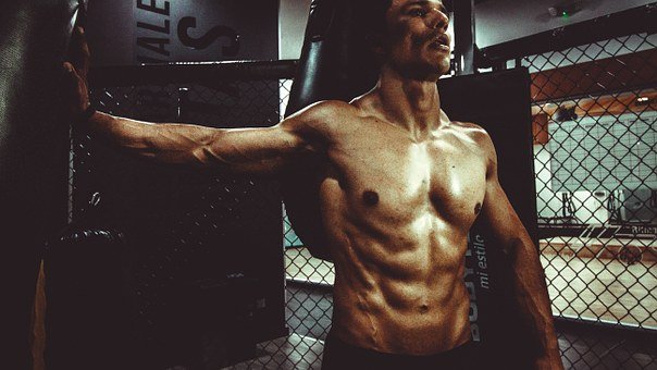 strong muscles