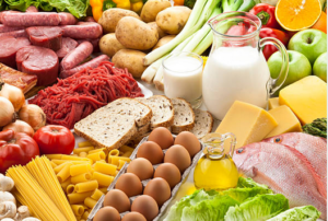Protein