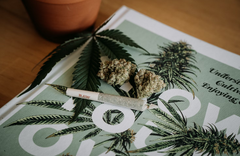 cannabis